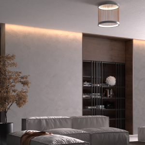 Modern living room with a gray sectional sofa, a tall potted tree, and a dark wooden built-in bookshelf behind decorative vertical bars.