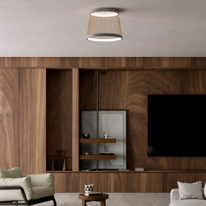 Wood-paneled living room with a built-in cabinet, shelves, and a large flat-screen TV on the wall. A modern ceiling light hangs above, with a beige sofa nearby.